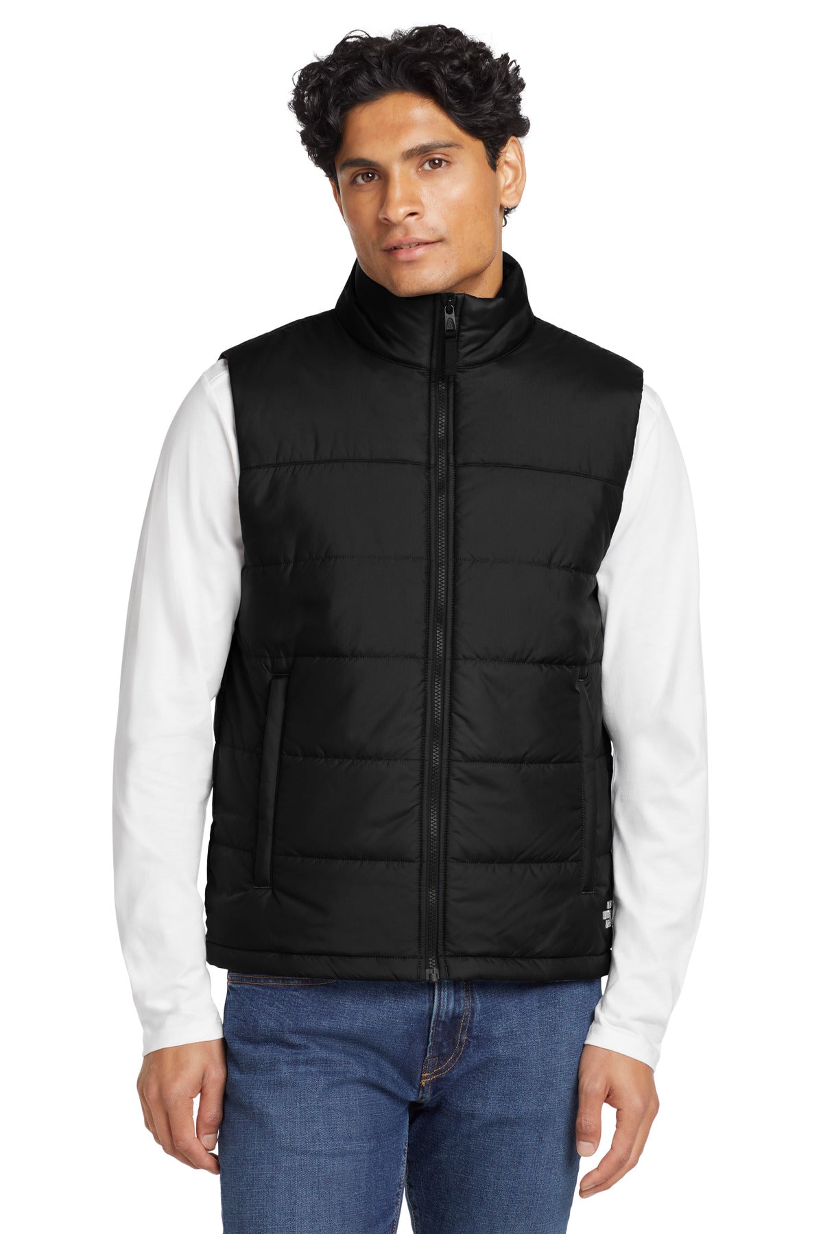the north face ®  everyday insulated vest. nf0a529a